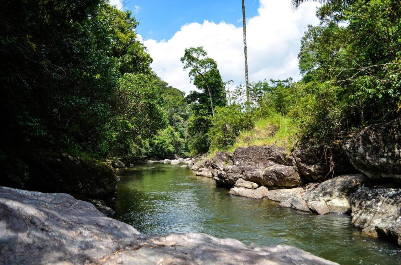 Sitio Flor Das Aguas Lumiar Eksteriør billede